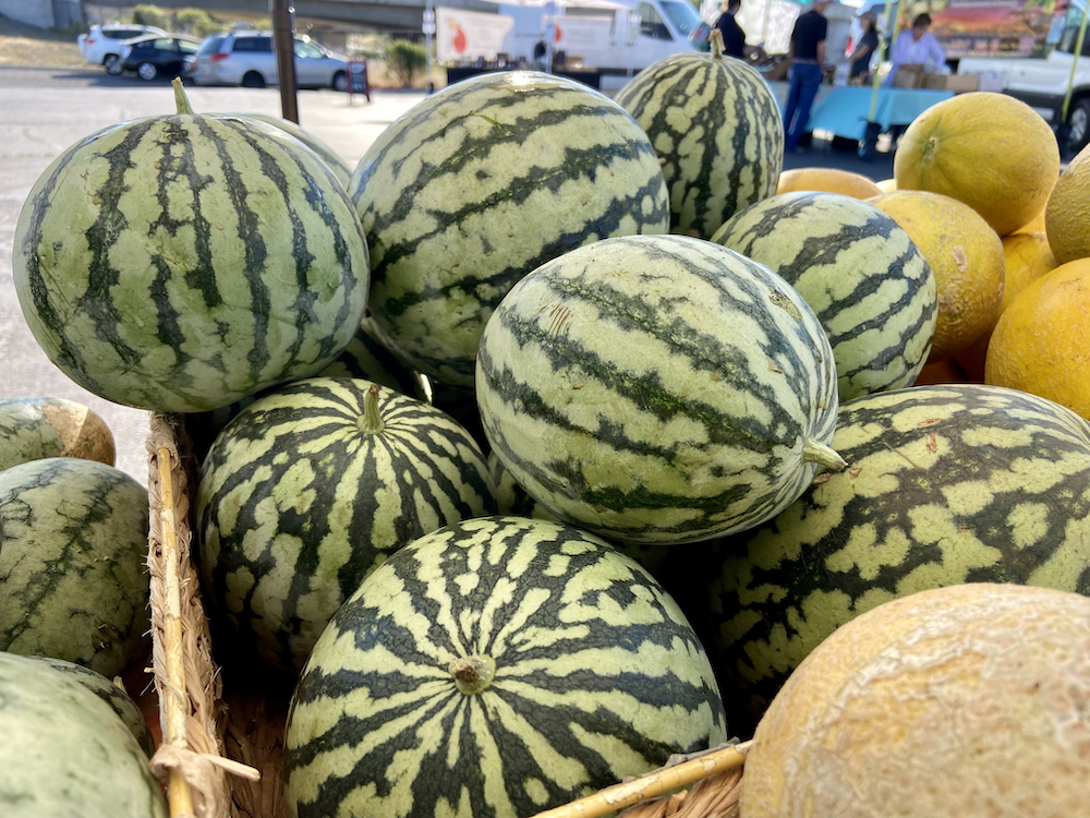 Melons at the Napa Farmers Market